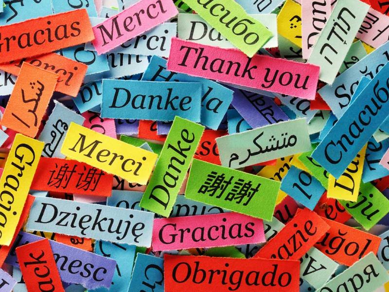 kursus bahasa Portugis di Senen terdekat