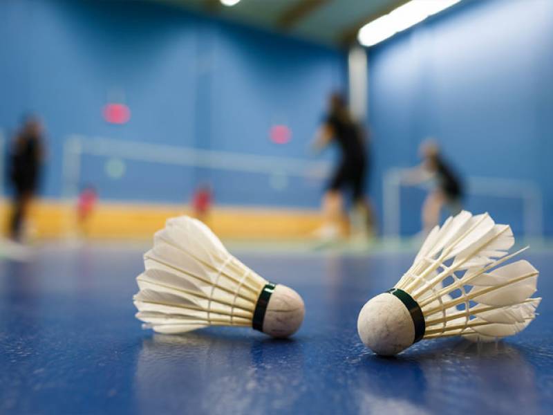 les Badminton Alam Sutera