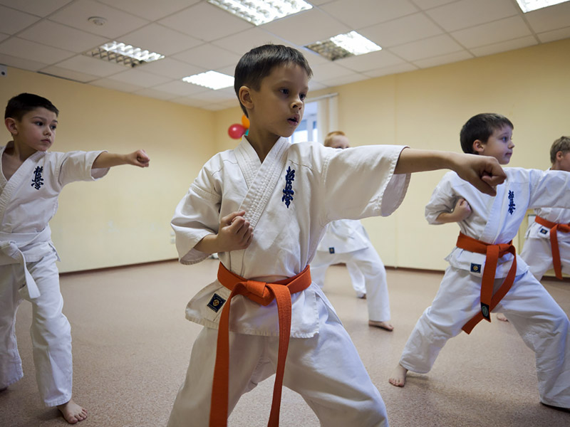 trainer kursus les Karate Tangerang Selatan