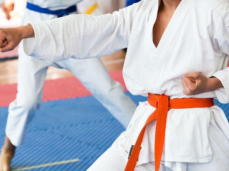 kursus les Karate Gading Serpong
